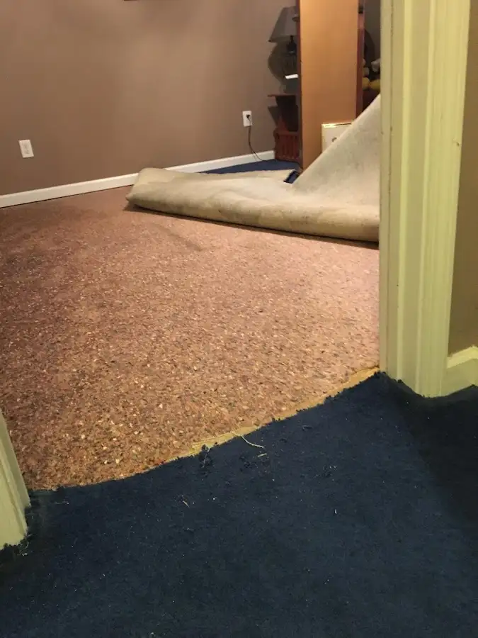 Carpet pad removal revealing water damage during Drying & Dehumidification in Wendell